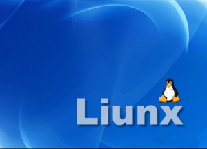 解析Linux下screen闪屏功能的关闭方法