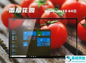 番茄花园 ghost Windows 10 64位纯净版 v2022.7