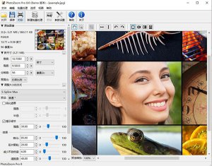 PhotoZoom最新版v8.0官方版