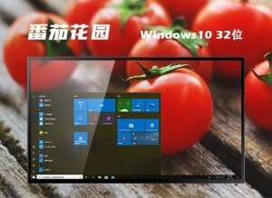 番茄花园 ghost Windows 10 32位专业改良版 v2022.09