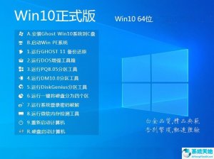 Microsoft Windows 10 镜像 64位专业正式版 v2022.08