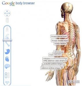 Google人体浏览器V39.0PC汉化版