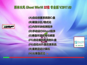 雨林木风Windows 10 32位专业版V201703（大量驱动版W10）