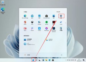 Windows 11ip地址在哪儿看？Windows 11查询本机地址的办法