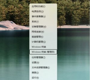Windows 11Microsoft应用商店如何更新？Windows 11更新Microsoft应用商店的办法