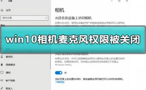 Windows 10相机麦克风权限被关闭如何解决？相机麦克风权限被关闭解决方案