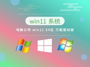 电脑公司 Windows 11 64位 万能驱动版