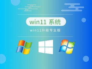 Windows 11升级专业版