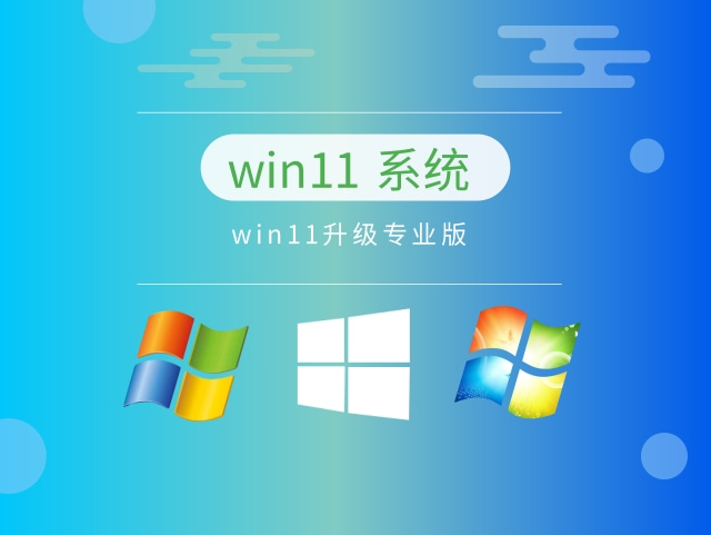 Windows 11升级专业版