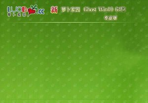 萝卜家园Windows 10 64位甄选办公版