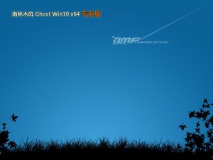 雨林木风 最新Windows 10 64位 专业纪念版