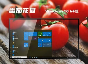 番茄花园 Ghost Windows 10 64位高效稳定版 v2023.08