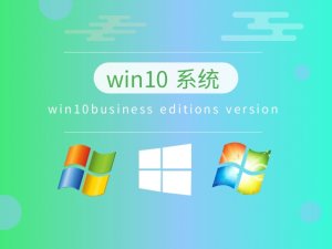 Windows 10business editions version