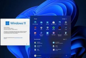 显卡不支持dx12可以装Windows 11吗?不支持dx12能否装Windows 11介绍