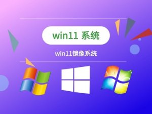 Windows 11镜像文件装机的办法