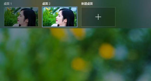 Windows 11多任务窗口如何打开?Windows 11多任务窗口打开办法