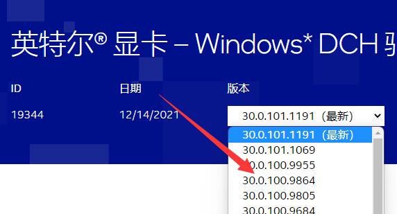 Windows 11内存泄露解决方案