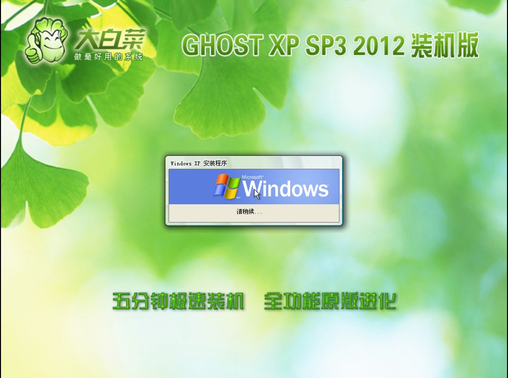 大白菜 ghost xp3 装机版 2012 06